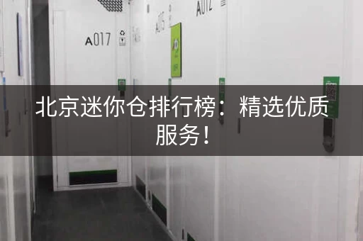 北京迷你仓排行榜：精选优质服务！