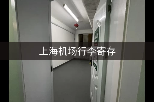 上海机场行李寄存，轻松出行无负担！