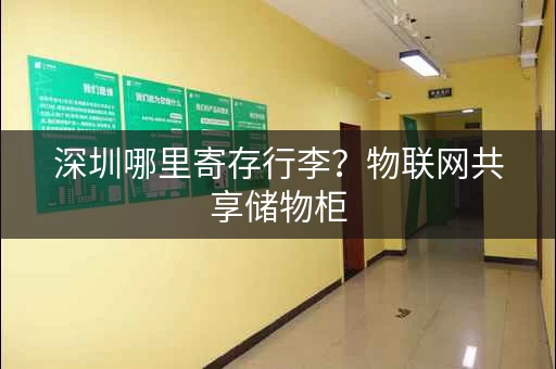 深圳哪里寄存行李？物联网共享储物柜