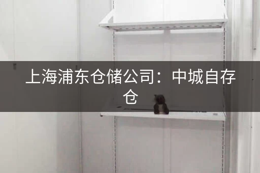 上海浦东仓储公司：中城自存仓，家具物品存放专家