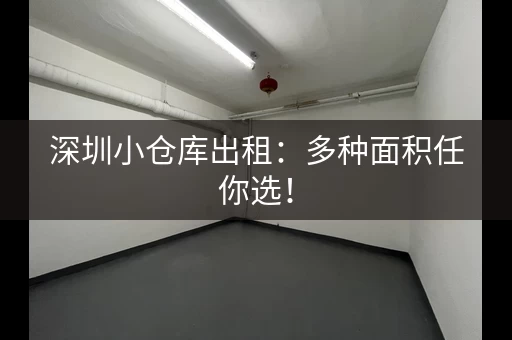 深圳小仓库出租：多种面积任你选！
