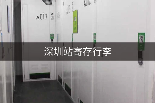 深圳站寄存行李，多种选择，任你挑选！