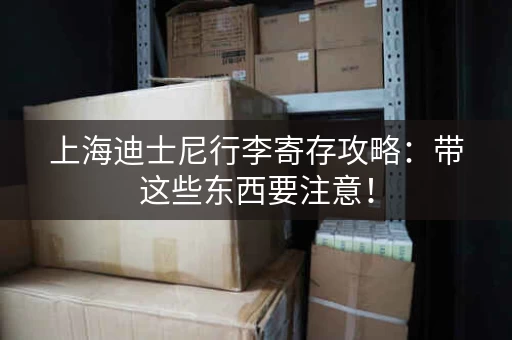 上海迪士尼行李寄存攻略：带这些东西要注意！