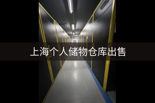 上海个人储物仓库出售，价格低至…
