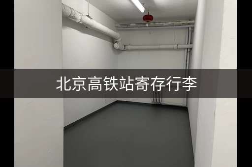 北京高铁站寄存行李，不用进站也能存！
