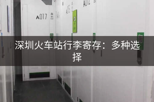 深圳火车站行李寄存：多种选择，轻松出行