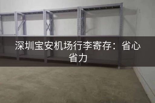 深圳宝安机场行李寄存：省心省力，放飞您的旅途！