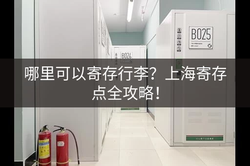 哪里可以寄存行李？上海寄存点全攻略！