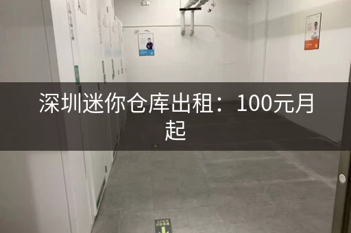 深圳迷你仓库出租：100元月起，押一付一，随时可看