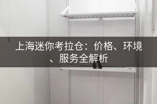 上海迷你考拉仓：价格、环境、服务全解析