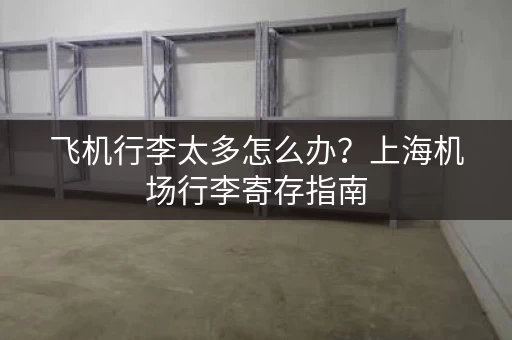 飞机行李太多怎么办？上海机场行李寄存指南